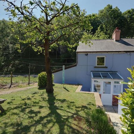 Lilac Cottage Parkend Εξωτερικό φωτογραφία