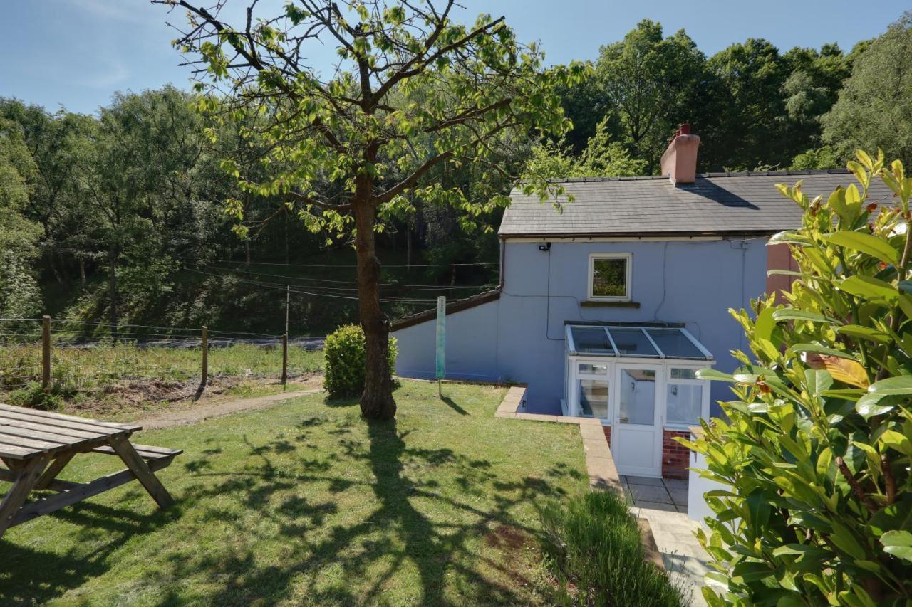 Lilac Cottage Parkend Εξωτερικό φωτογραφία