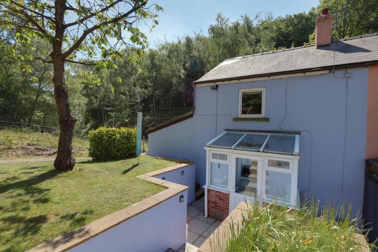 Lilac Cottage Parkend Εξωτερικό φωτογραφία